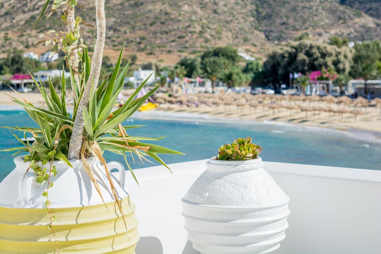 Gorgona Hotel